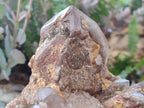 Polished and Natural Red Hematoid Quartz Crystal Clusters x 2 From Karoi, Zimbabwe