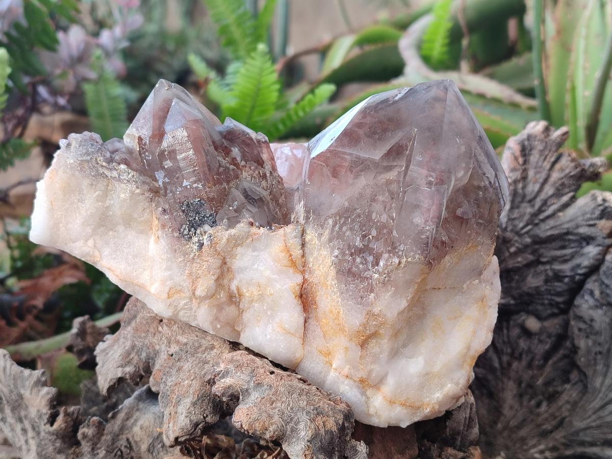 Polished and Natural Red Hematoid Quartz Crystal Clusters x 2 From Karoi, Zimbabwe