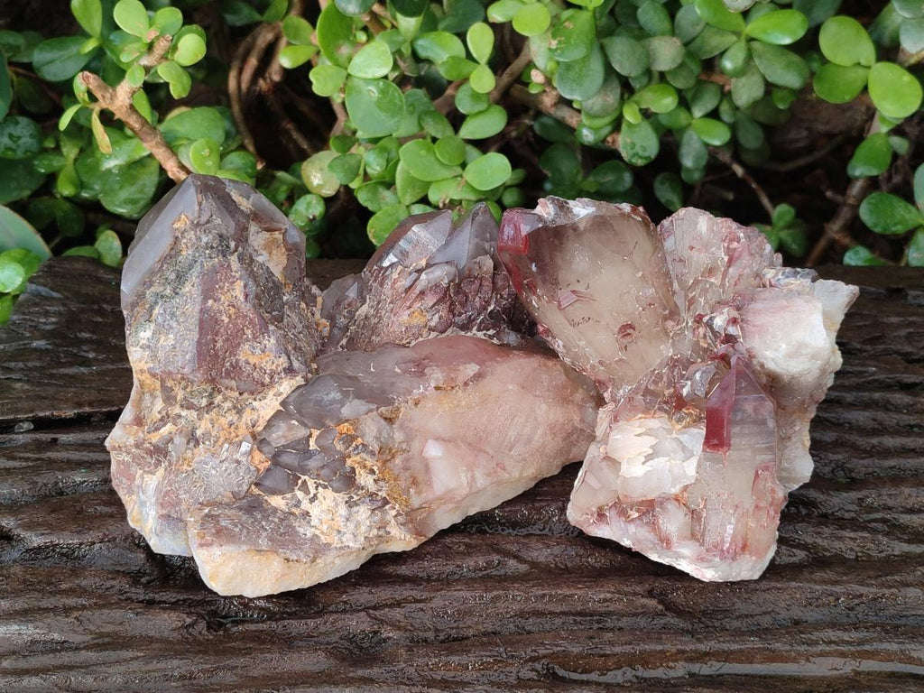 Polished and Natural Red Hematoid Quartz Crystal Clusters x 2 From Karoi, Zimbabwe