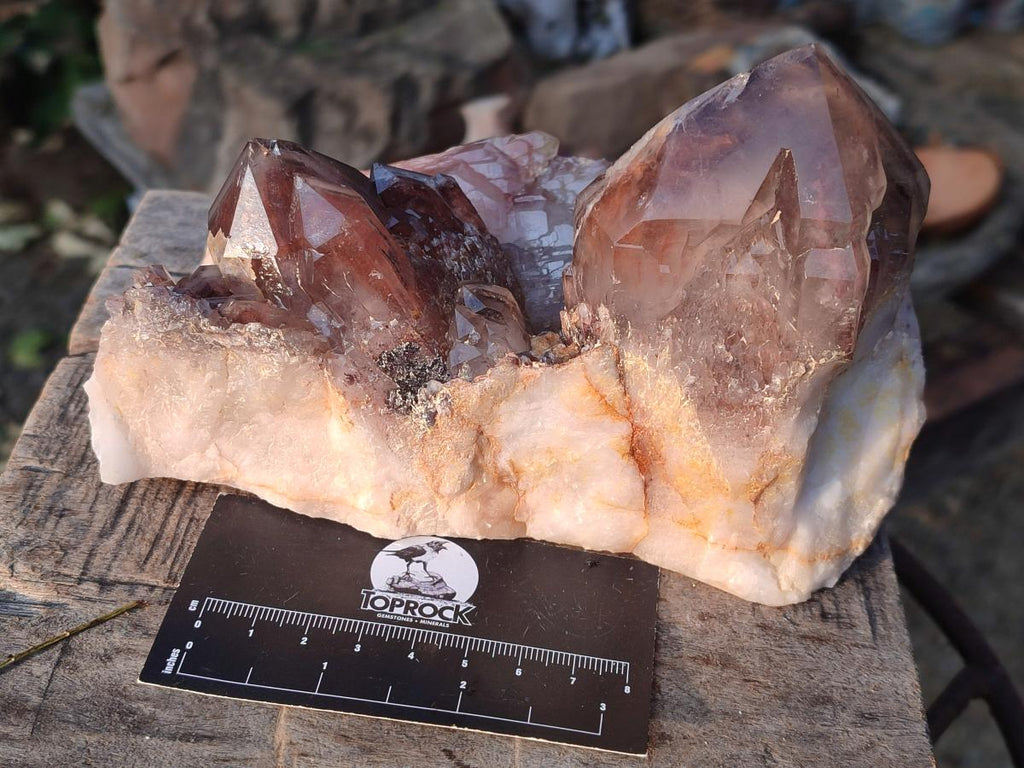Polished and Natural Red Hematoid Quartz Crystal Clusters x 2 From Karoi, Zimbabwe