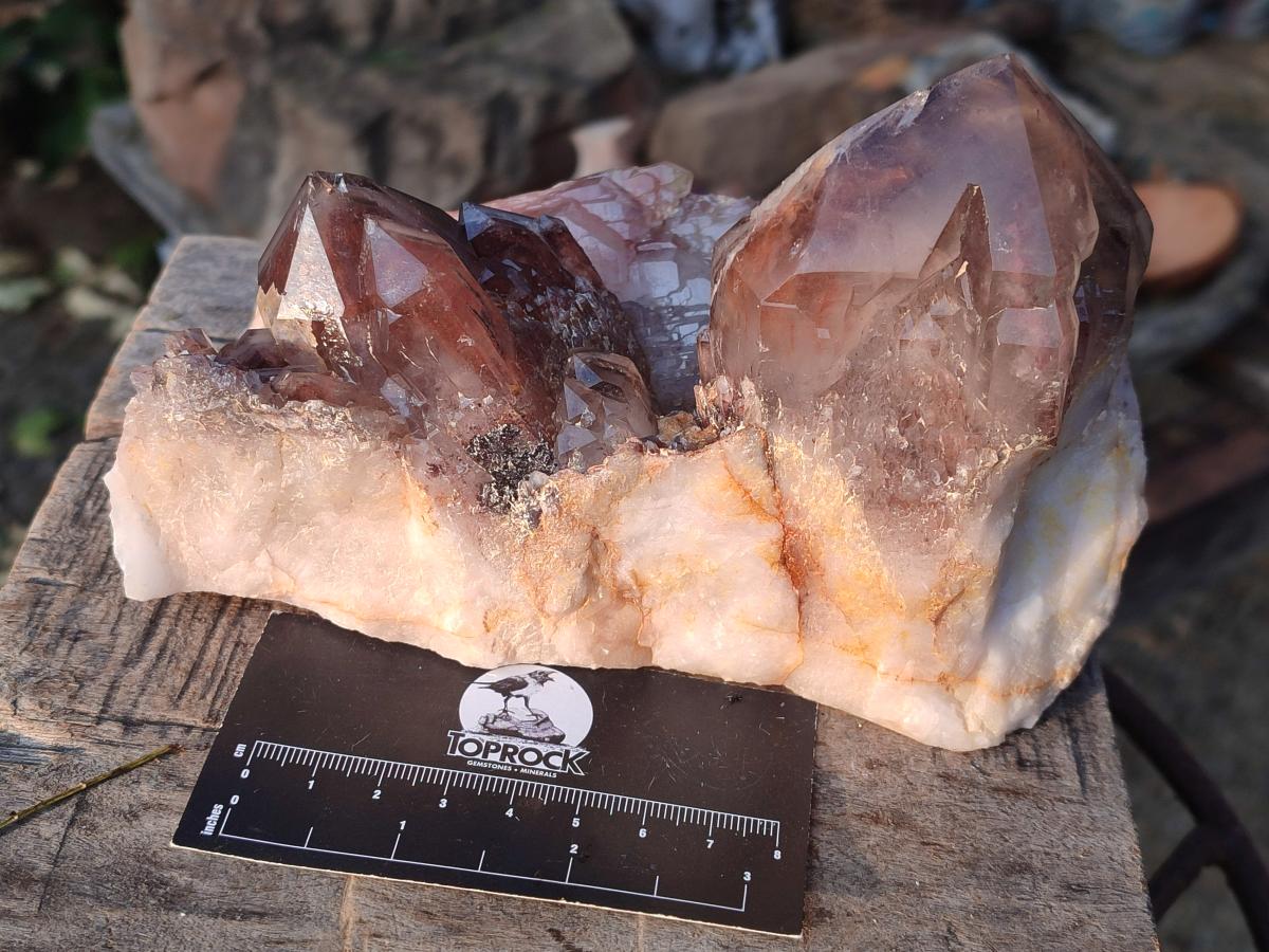 Polished and Natural Red Hematoid Quartz Crystal Clusters x 2 From Karoi, Zimbabwe