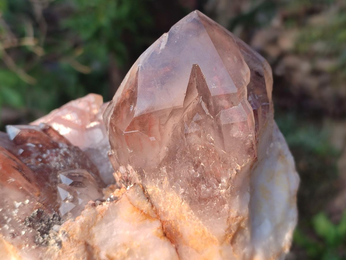 Polished and Natural Red Hematoid Quartz Crystal Clusters x 2 From Karoi, Zimbabwe