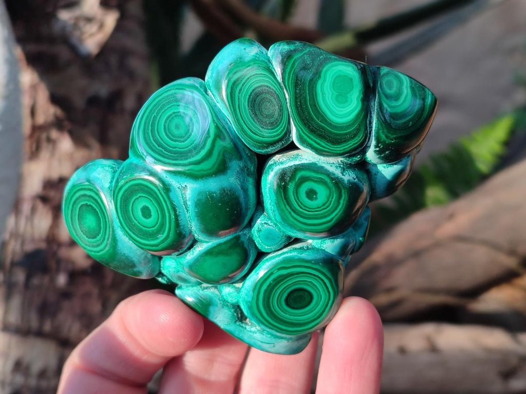 Polished Malacolla Free Forms x 6 From Kulukuluku, Congo