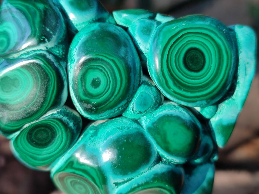 Polished Malacolla Free Forms x 6 From Kulukuluku, Congo