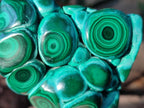 Polished Malacolla Free Forms x 6 From Kulukuluku, Congo