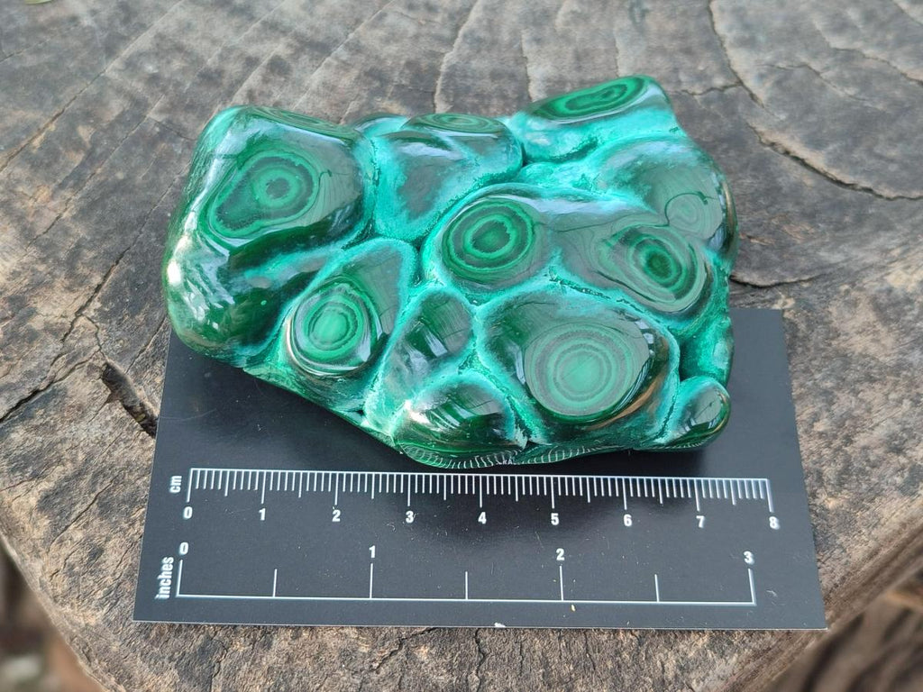 Polished Malacolla Free Forms x 6 From Kulukuluku, Congo