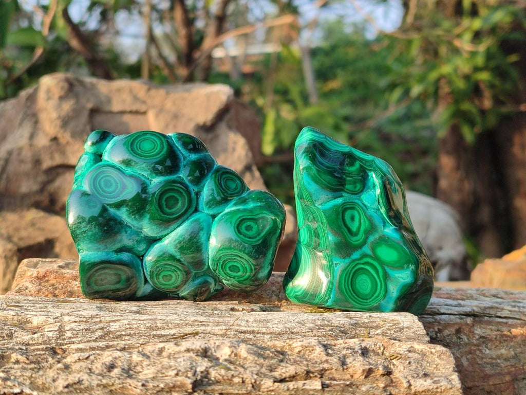Polished Malacolla Free Forms x 6 From Kulukuluku, Congo