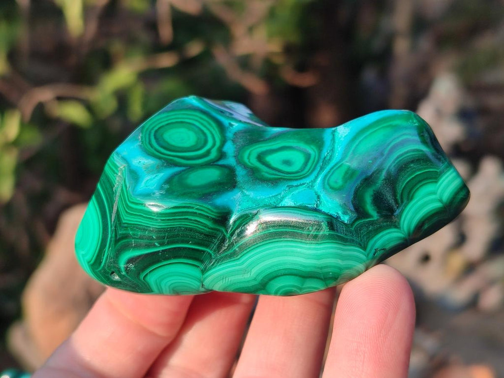 Polished Malacolla Free Forms x 6 From Kulukuluku, Congo