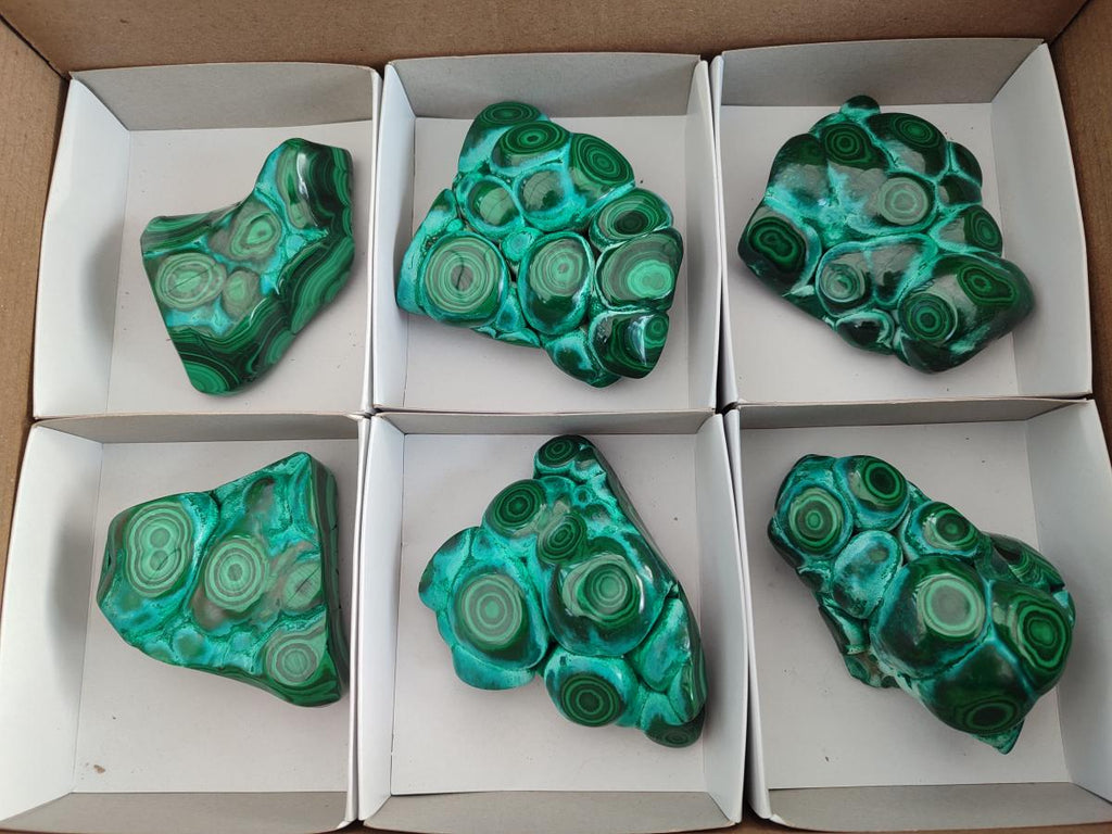 Polished Malacolla Free Forms x 6 From Kulukuluku, Congo