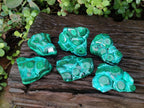 Polished Malacolla Free Forms x 6 From Kulukuluku, Congo