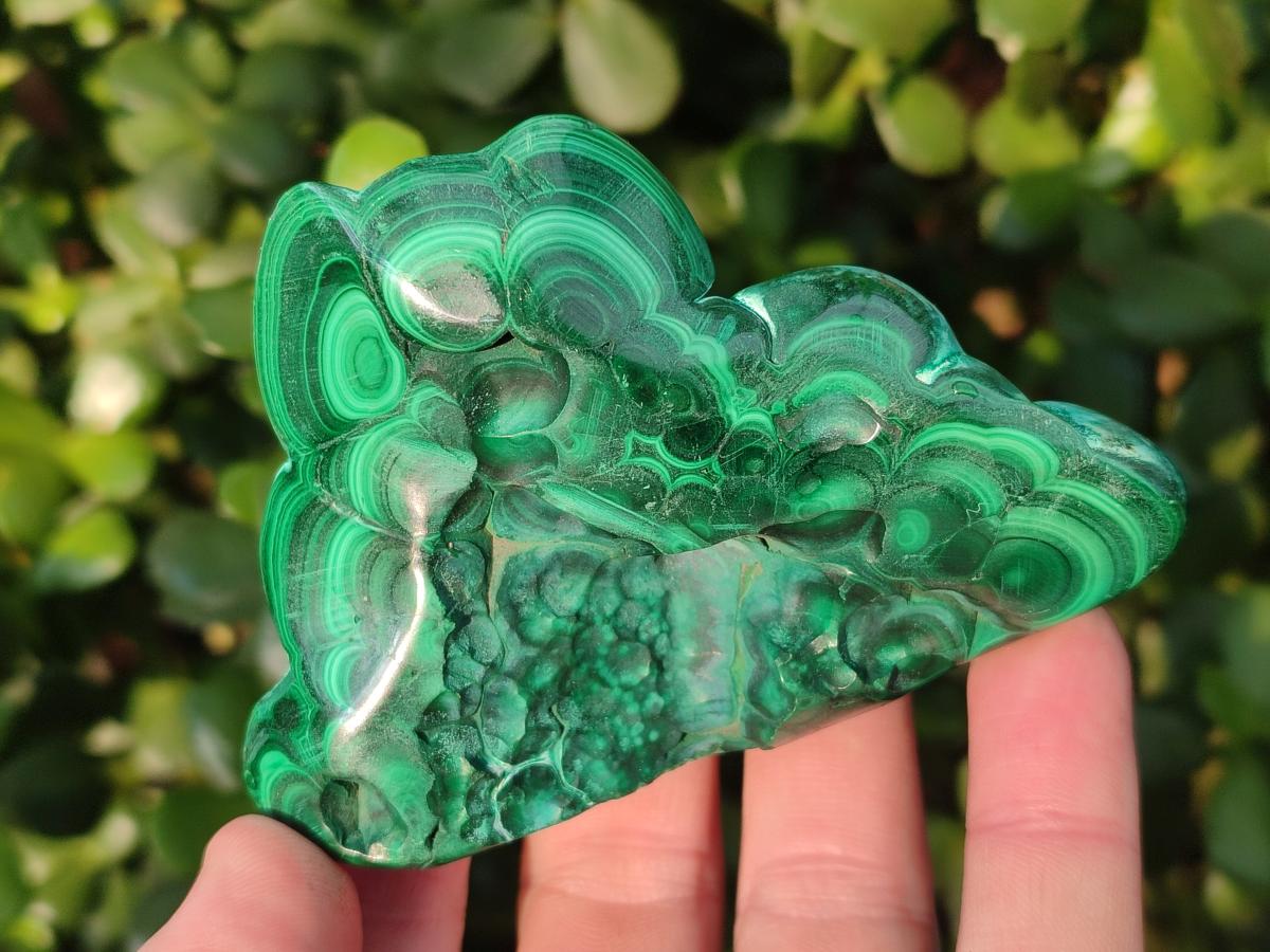 Polished Malacolla Free Forms x 6 From Kulukuluku, Congo