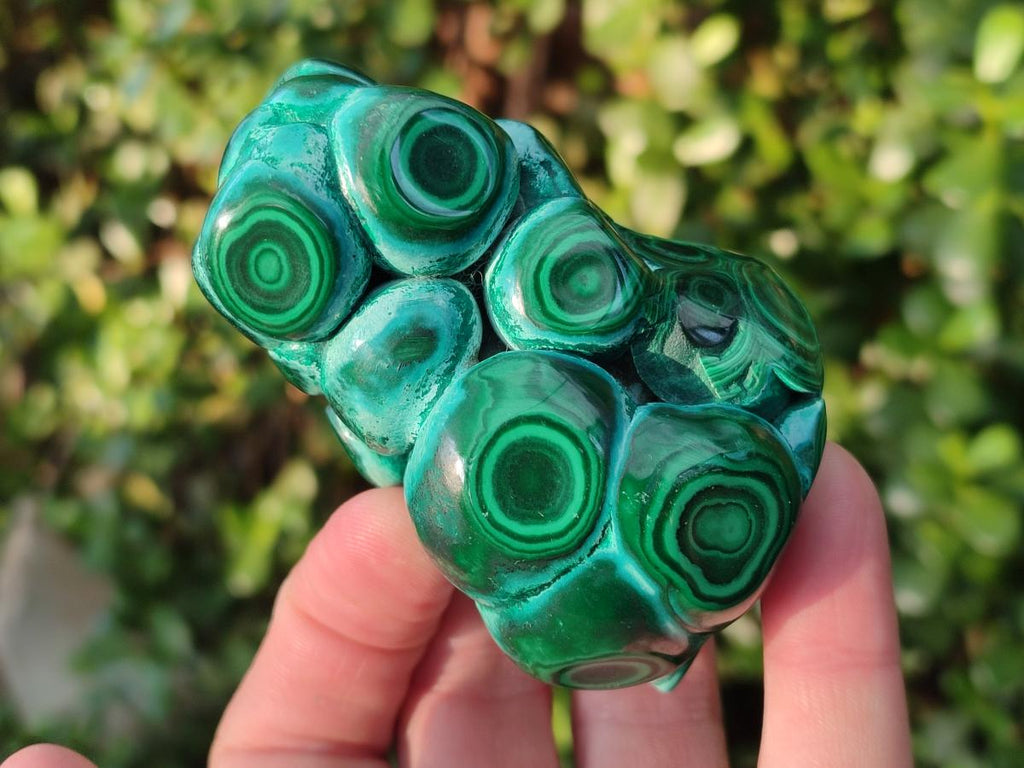 Polished Malacolla Free Forms x 6 From Kulukuluku, Congo