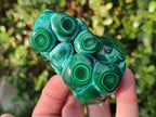 Polished Malacolla Free Forms x 6 From Kulukuluku, Congo