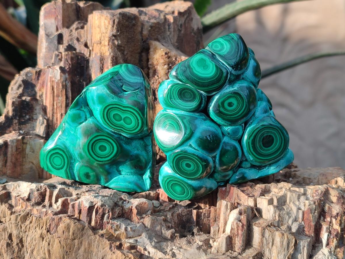 Polished Malacolla Free Forms x 6 From Kulukuluku, Congo