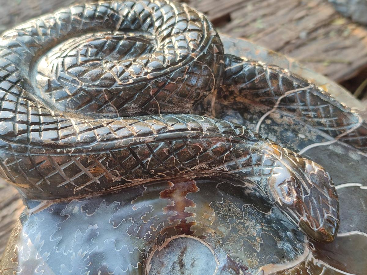 Hand Made Large Cleoniceras Ammonite Fossil Snake Carving x 1 From Tulear, Madagascar