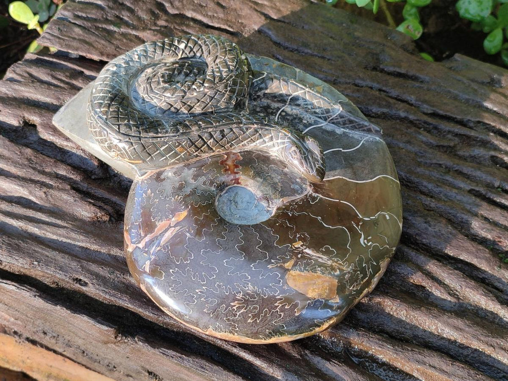 Hand Made Large Cleoniceras Ammonite Fossil Snake Carving x 1 From Tulear, Madagascar