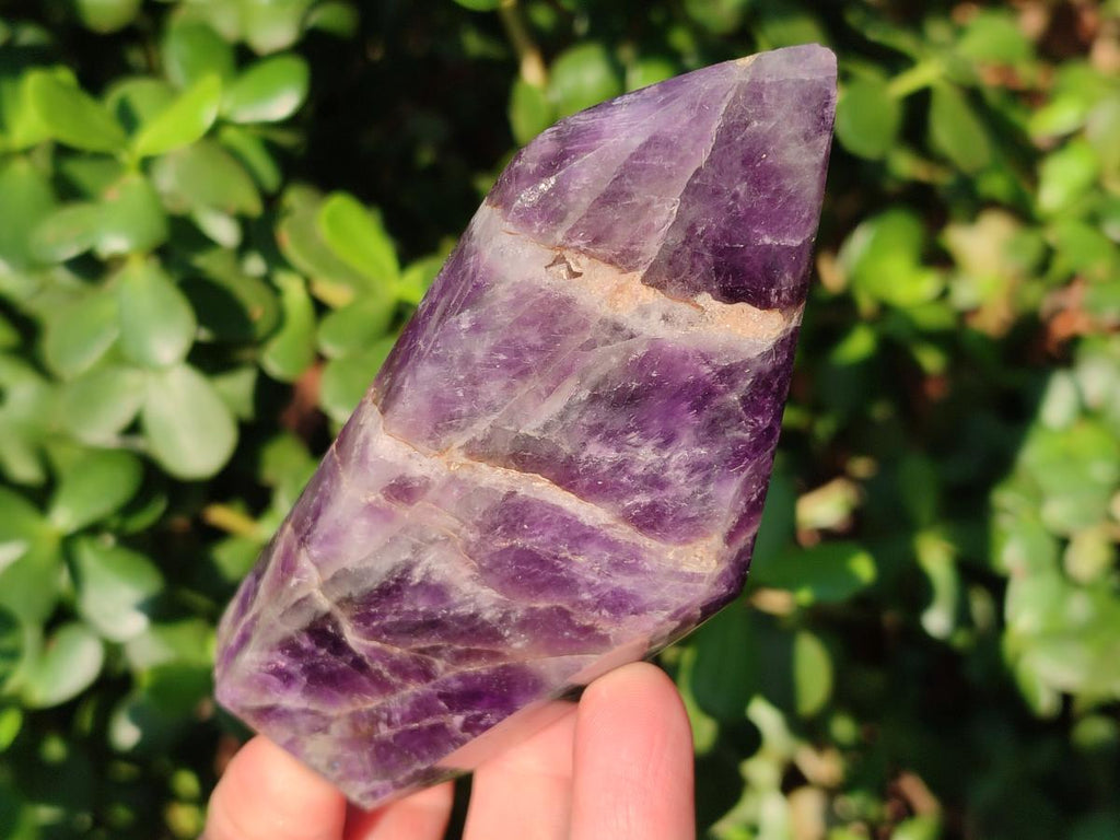Polished Chevron Amethyst Display Crystals x 5 From Zambia