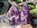 Polished Chevron Amethyst Display Crystals x 5 From Zambia