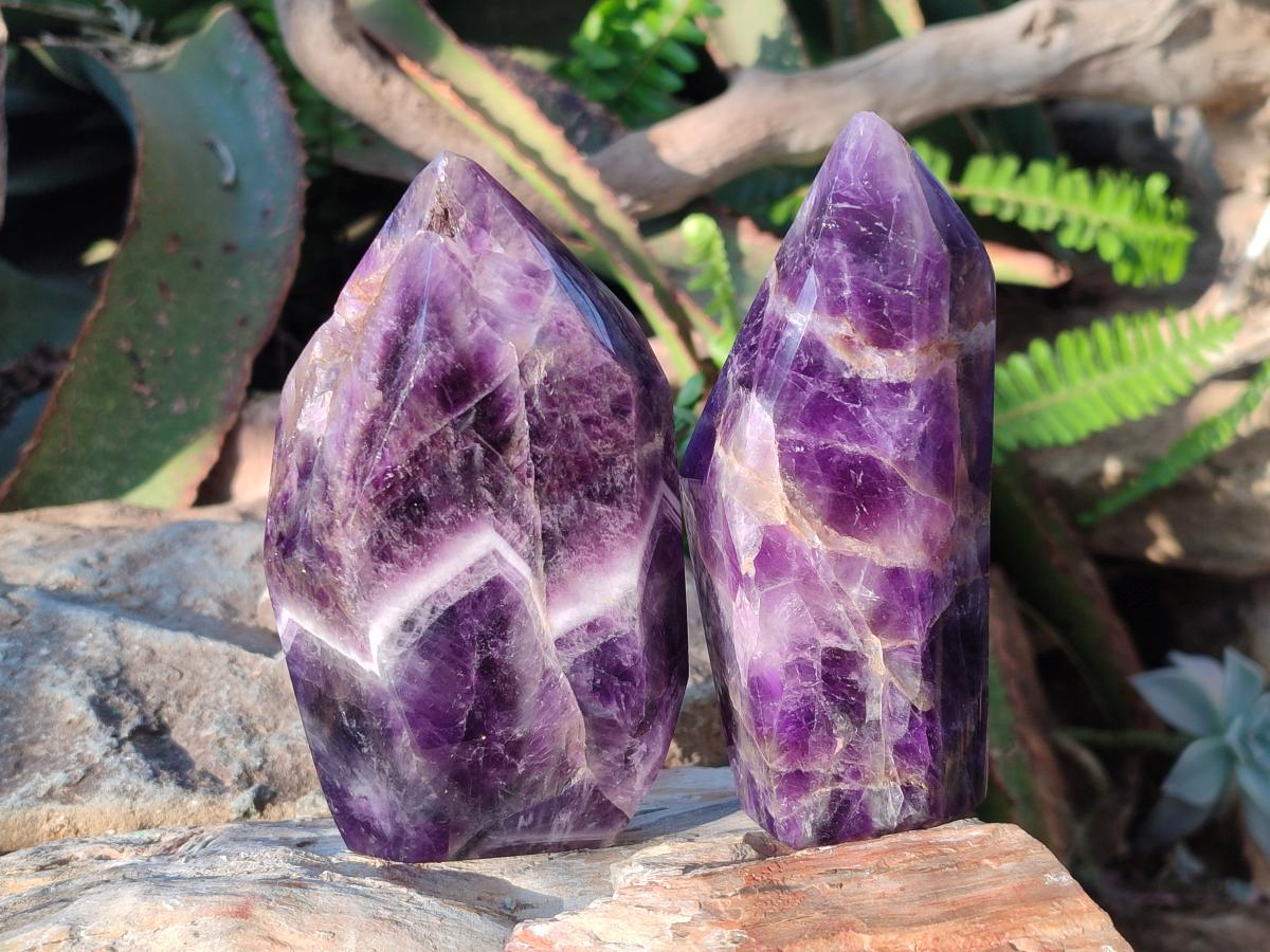 Polished Chevron Amethyst Display Crystals x 5 From Zambia