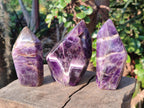 Polished Chevron Amethyst Display Crystals x 5 From Zambia