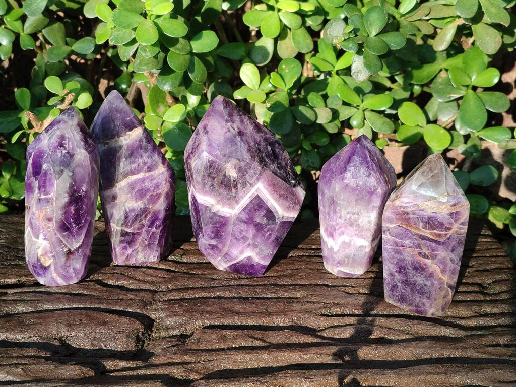 Polished Chevron Amethyst Display Crystals x 5 From Zambia