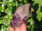 Polished Chevron Amethyst Display Crystals x 5 From Zambia