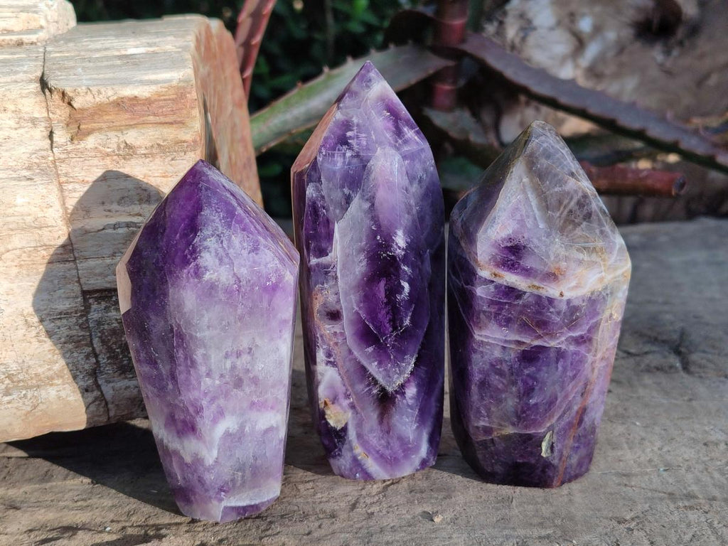 Polished Chevron Amethyst Display Crystals x 5 From Zambia