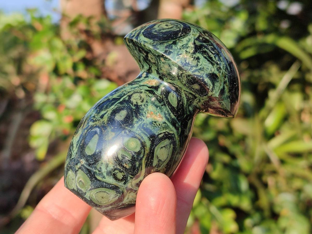 Polished Stromatolite "Kambaba Jasper" Mushrooms x 12 From Katsepy, Madagascar