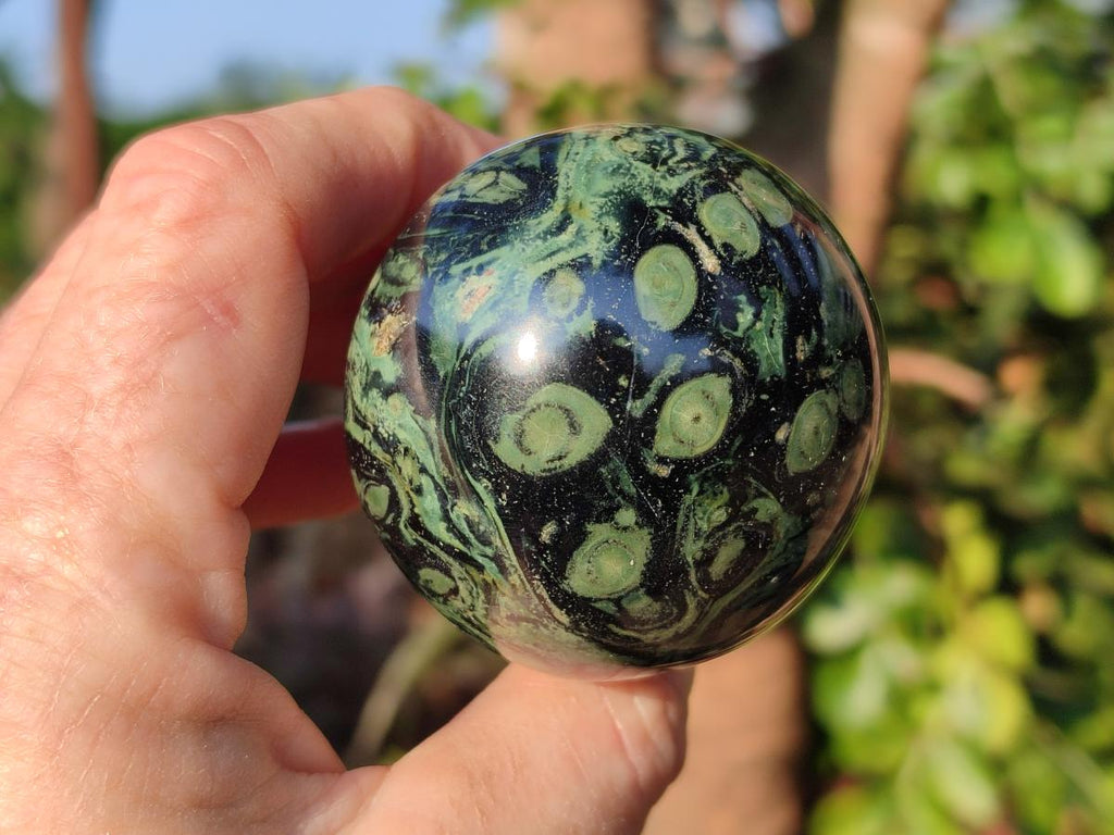 Polished Stromatolite "Kambaba Jasper" Mushrooms x 12 From Katsepy, Madagascar