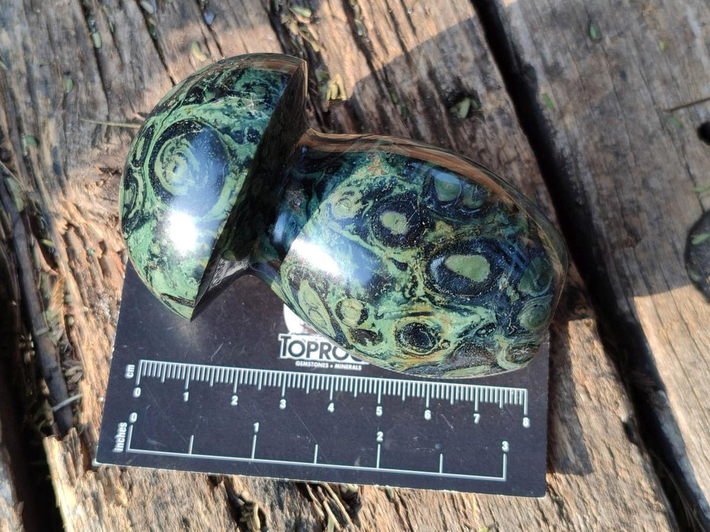 Polished Stromatolite "Kambaba Jasper" Mushrooms x 12 From Katsepy, Madagascar
