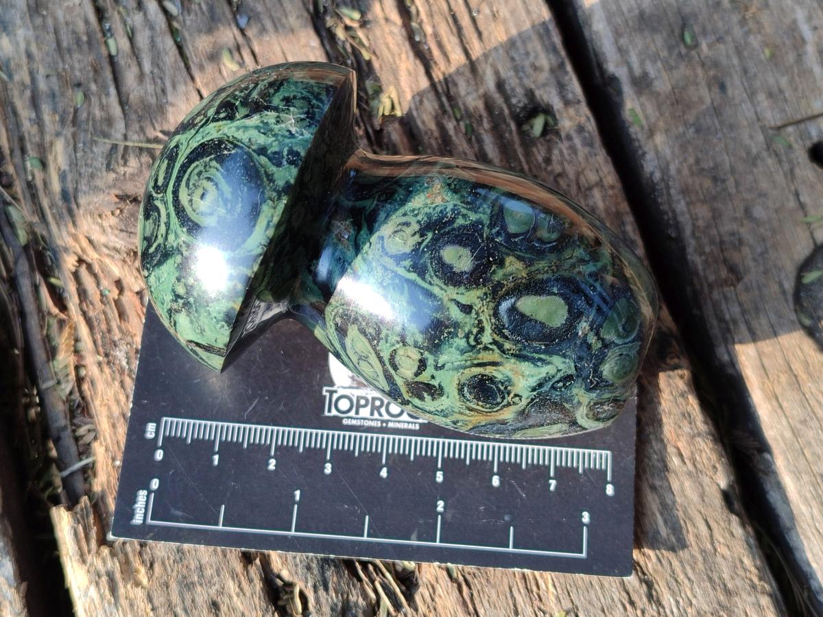 Polished Stromatolite "Kambaba Jasper" Mushrooms x 12 From Katsepy, Madagascar