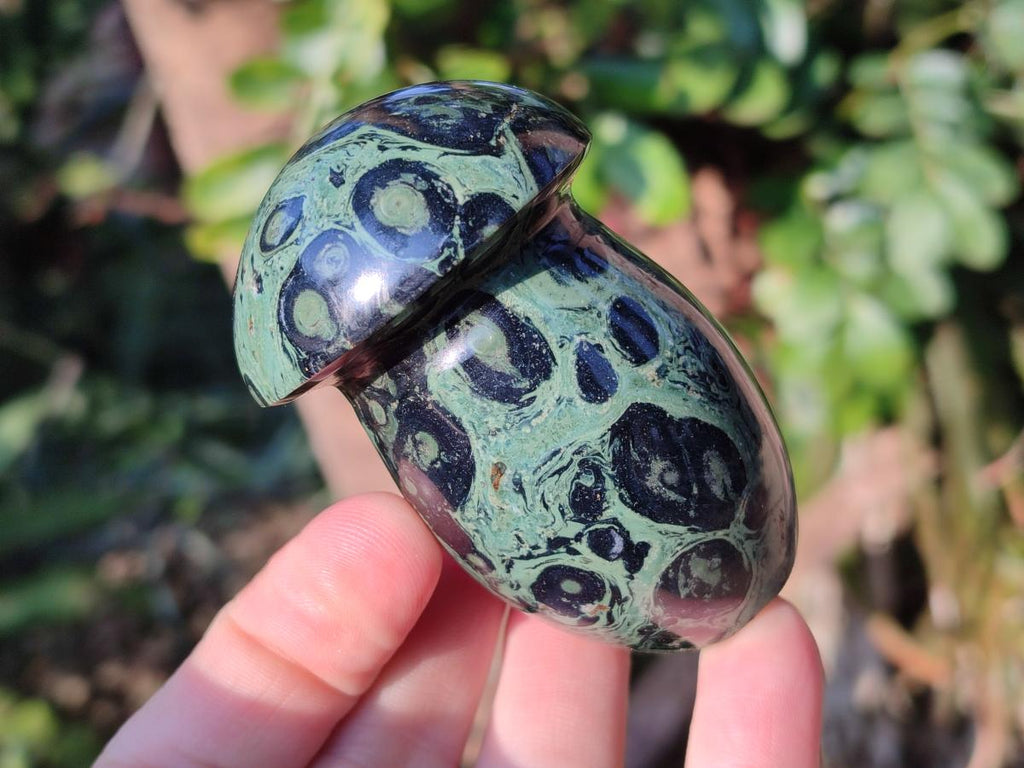 Polished Stromatolite "Kambaba Jasper" Mushrooms x 12 From Katsepy, Madagascar