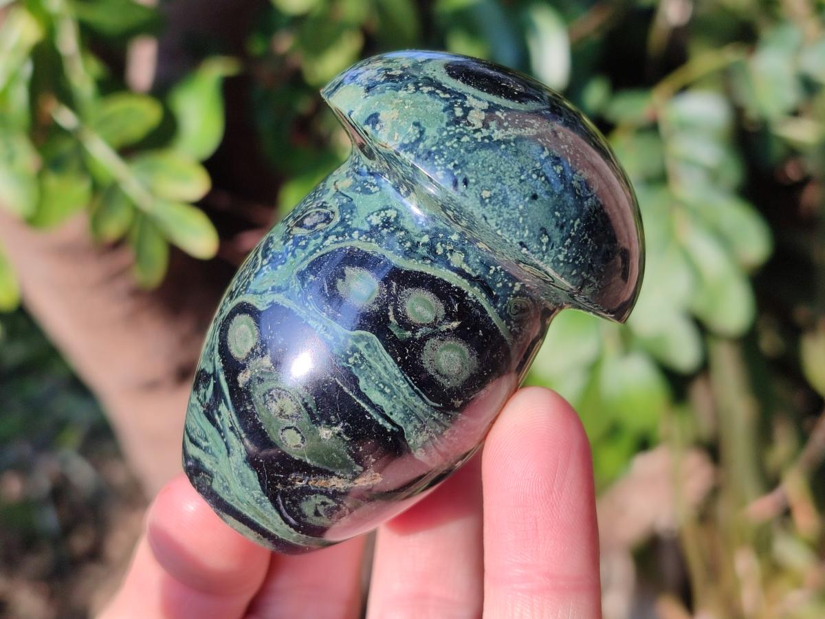Polished Stromatolite "Kambaba Jasper" Mushrooms x 12 From Katsepy, Madagascar