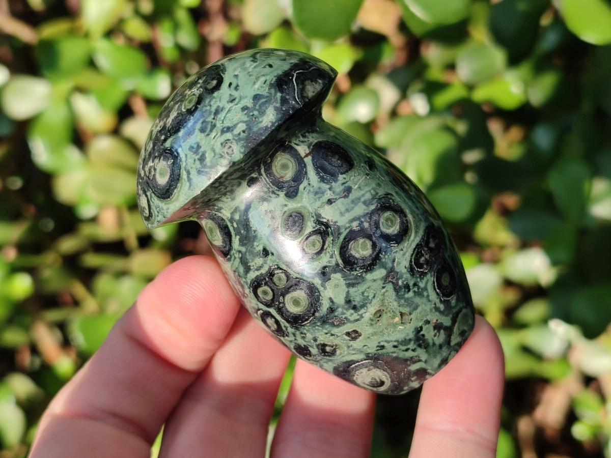 Polished Stromatolite "Kambaba Jasper" Mushrooms x 12 From Katsepy, Madagascar