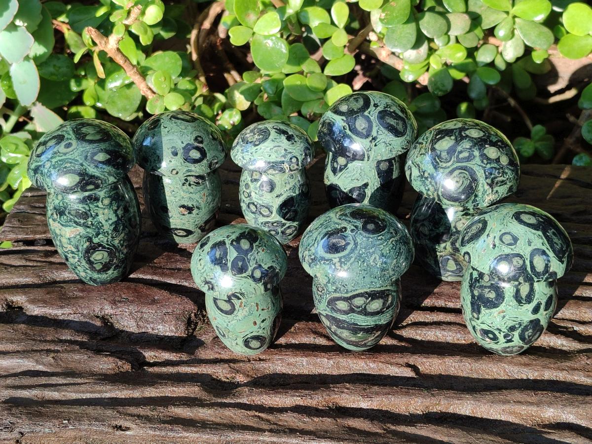 Polished Stromatolite "Kambaba Jasper" Mushrooms x 12 From Katsepy, Madagascar