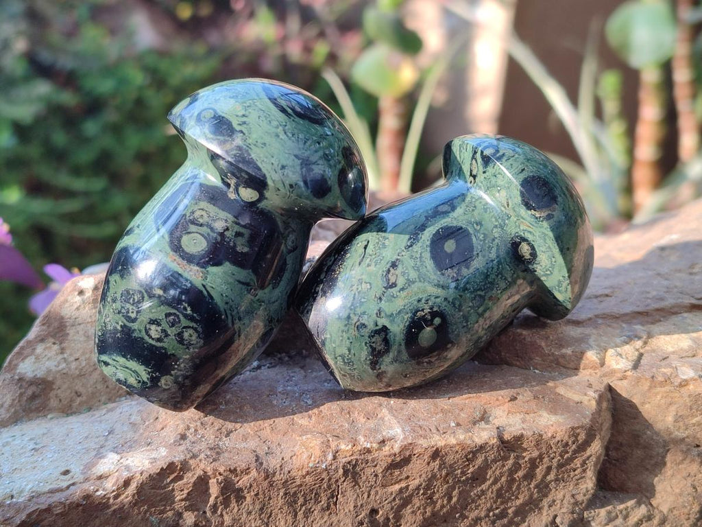 Polished Stromatolite "Kambaba Jasper" Mushrooms x 12 From Katsepy, Madagascar