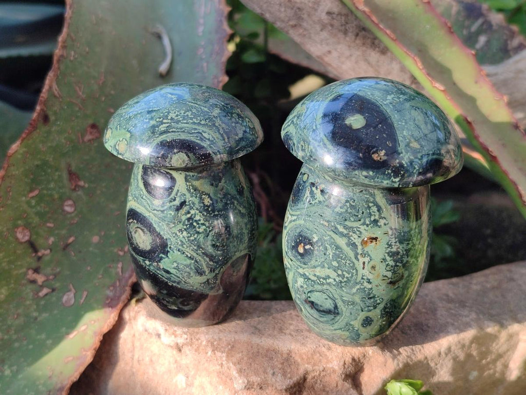 Polished Stromatolite "Kambaba Jasper" Mushrooms x 12 From Katsepy, Madagascar