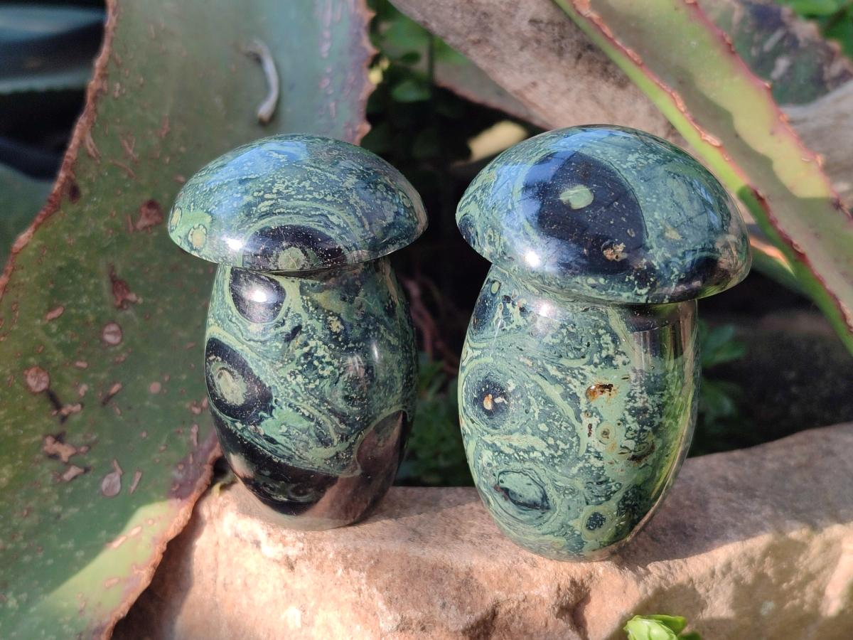 Polished Stromatolite "Kambaba Jasper" Mushrooms x 12 From Katsepy, Madagascar