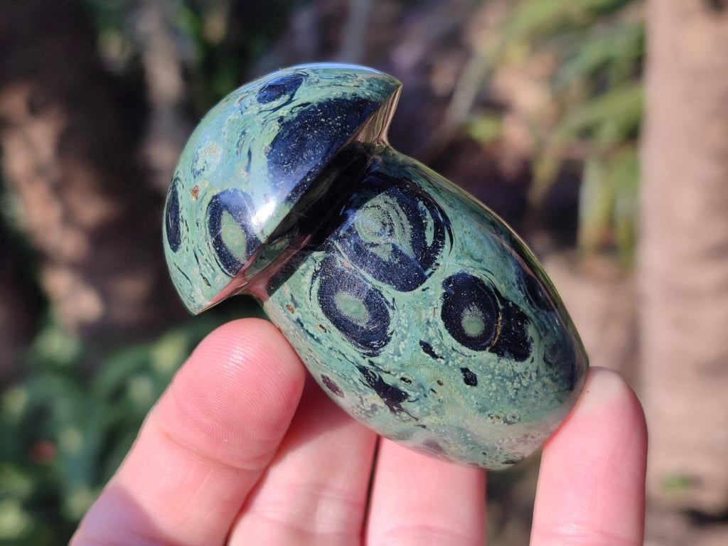 Polished Stromatolite "Kambaba Jasper" Mushrooms x 12 From Katsepy, Madagascar