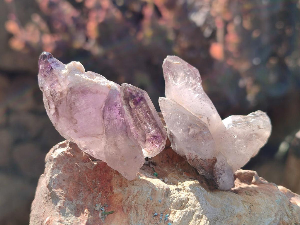 Natural Skeletal Window Amethyst Crystals x 24 From Chiredzi, Zimbabwe