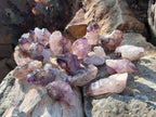 Natural Skeletal Window Amethyst Crystals x 24 From Chiredzi, Zimbabwe