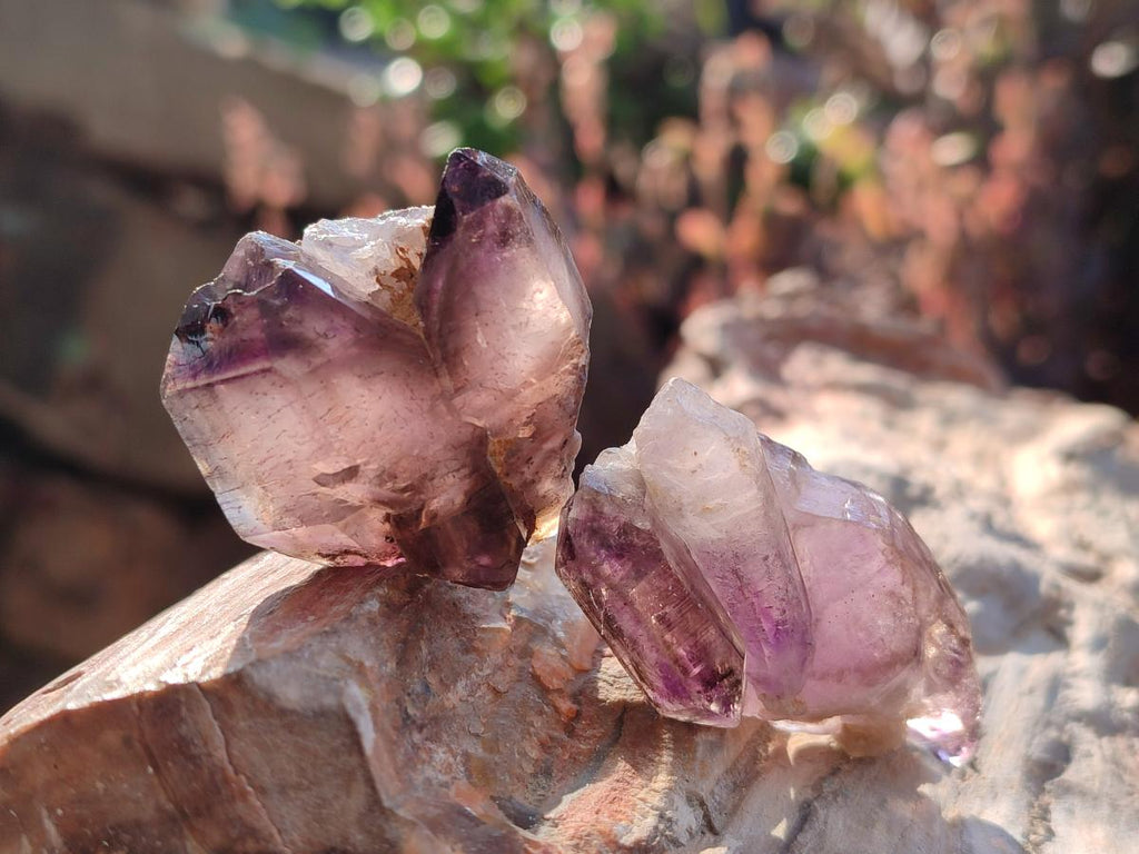 Natural Skeletal Window Amethyst Crystals x 24 From Chiredzi, Zimbabwe