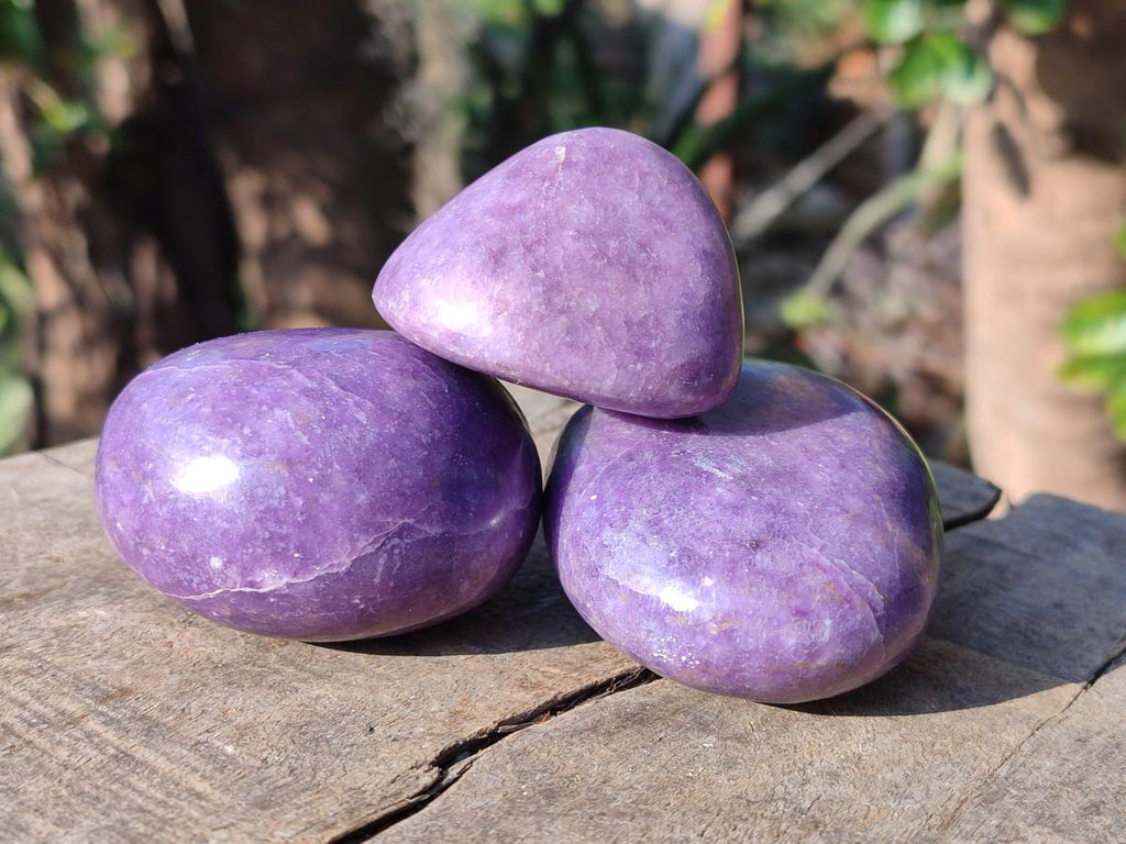 Polished Lepidolite Free Forms x 24 From Zimbabwe