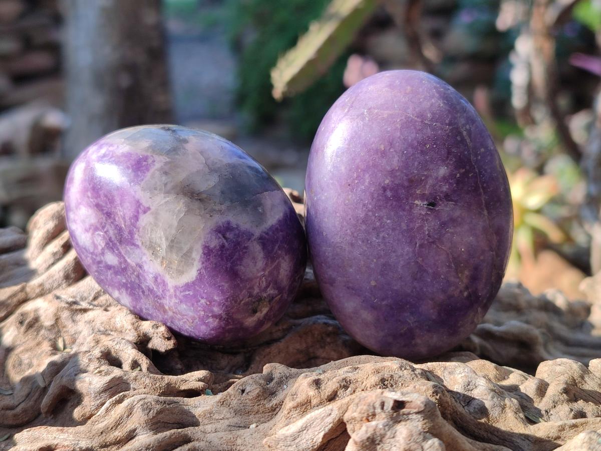Polished Lepidolite Free Forms x 24 From Zimbabwe