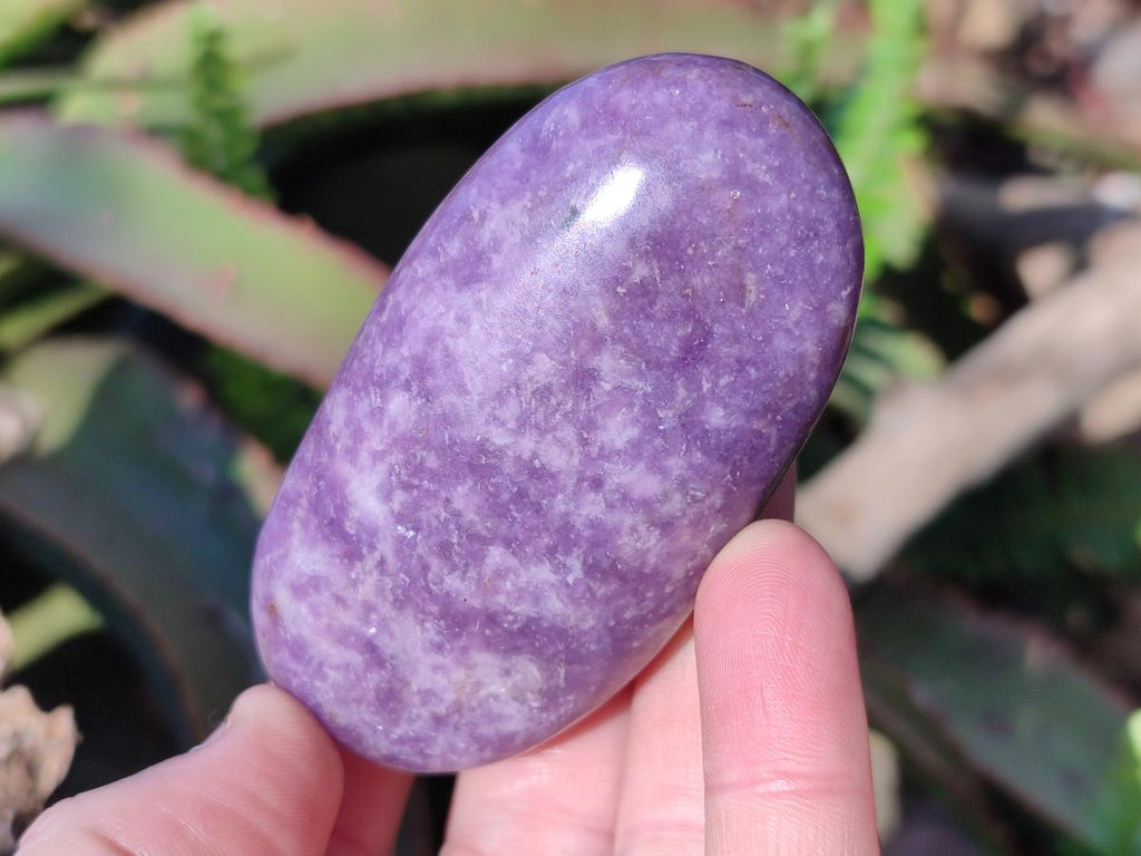 Polished Lepidolite Free Forms x 24 From Zimbabwe