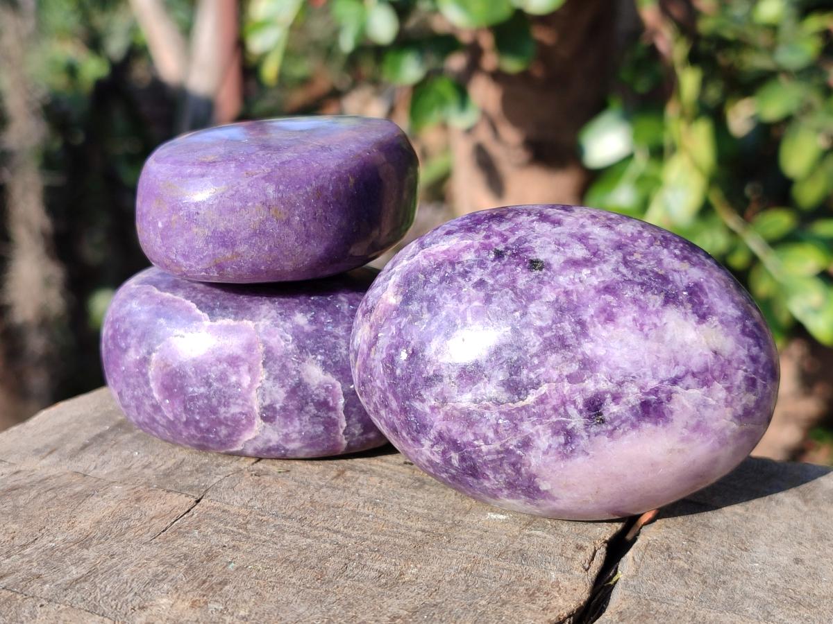 Polished Lepidolite Free Forms x 24 From Zimbabwe