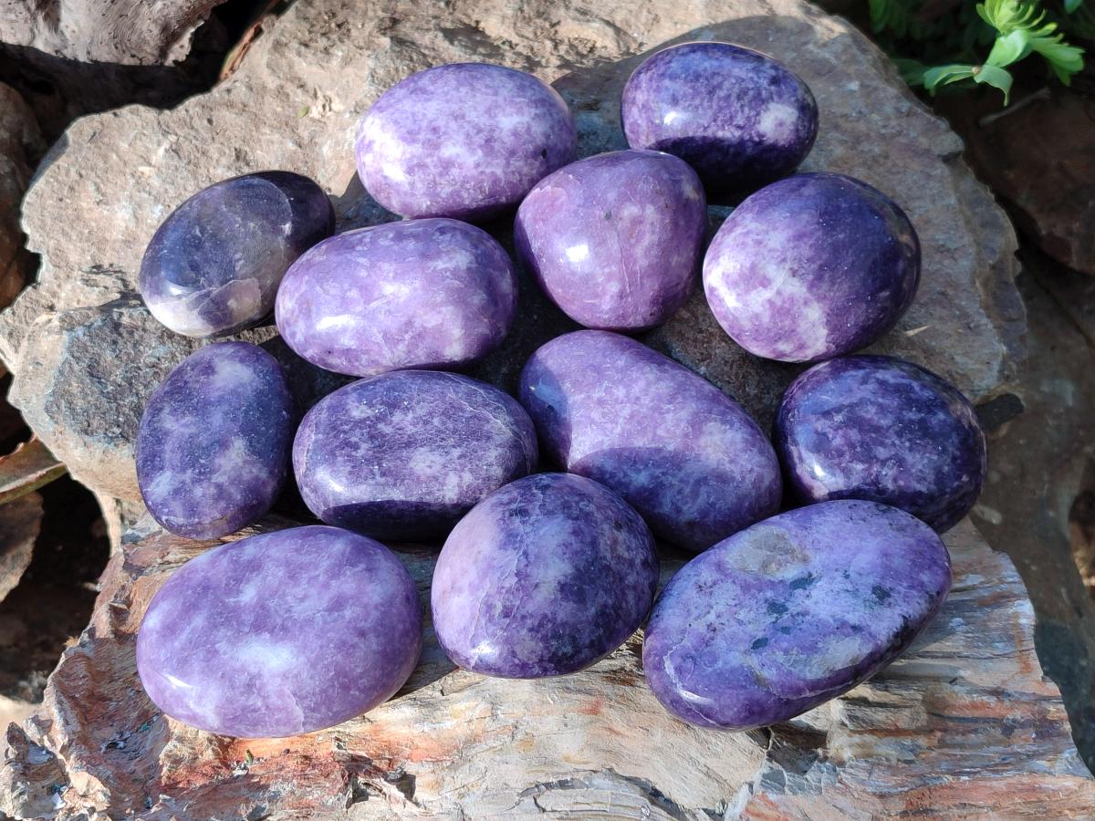 Polished Lepidolite Free Forms x 24 From Zimbabwe
