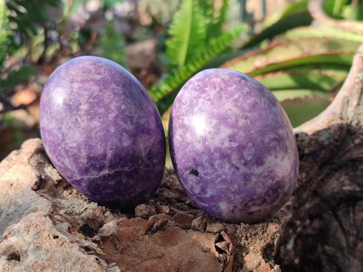 Polished Lepidolite Free Forms x 24 From Zimbabwe