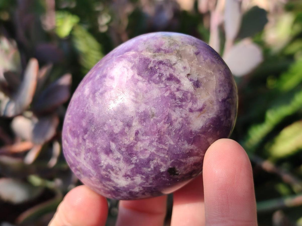Polished Lepidolite Free Forms x 24 From Zimbabwe