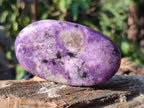 Polished Lepidolite Free Forms x 24 From Zimbabwe